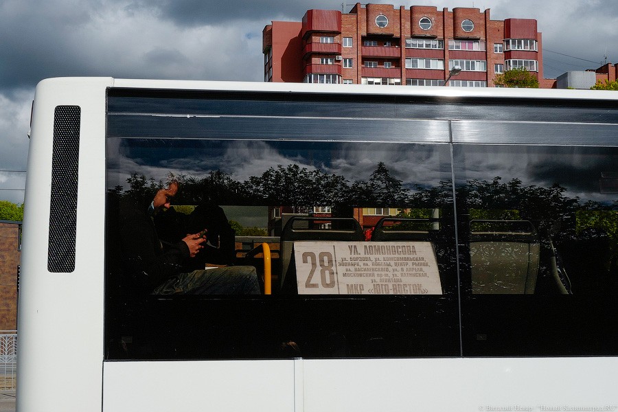 В Калининграде начали увеличивать количество автобусов на маршрутах