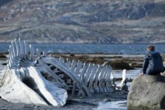 Русские в Каннах: как складывалась судьба российского кинематографа на фестивале 