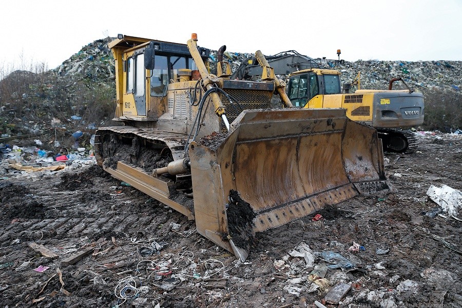 Псу под хвост: чем нам грозит введение пошлины на вывоз макулатуры
