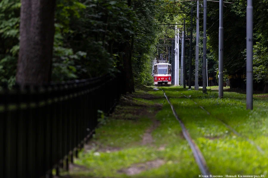 Губернатор о трамвае: «Задача номер один — сохранить то, что есть»