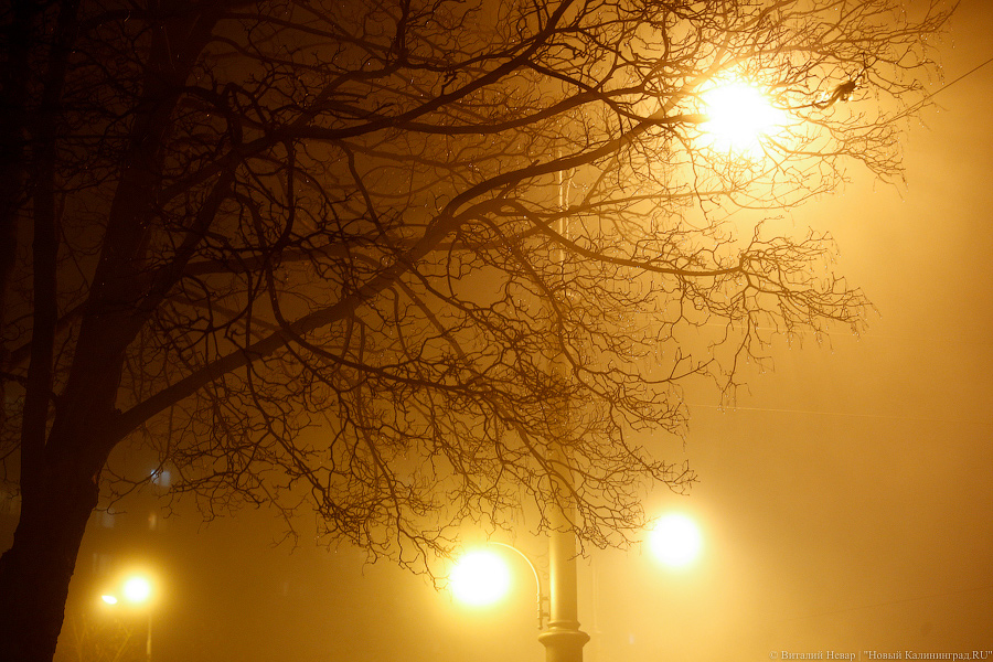 Власти Советска сообщили критерии выбора улиц, где планируется освещение
