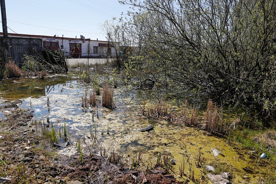 Алиханов утвердил новую кадастровую стоимость земли в Калининградской области