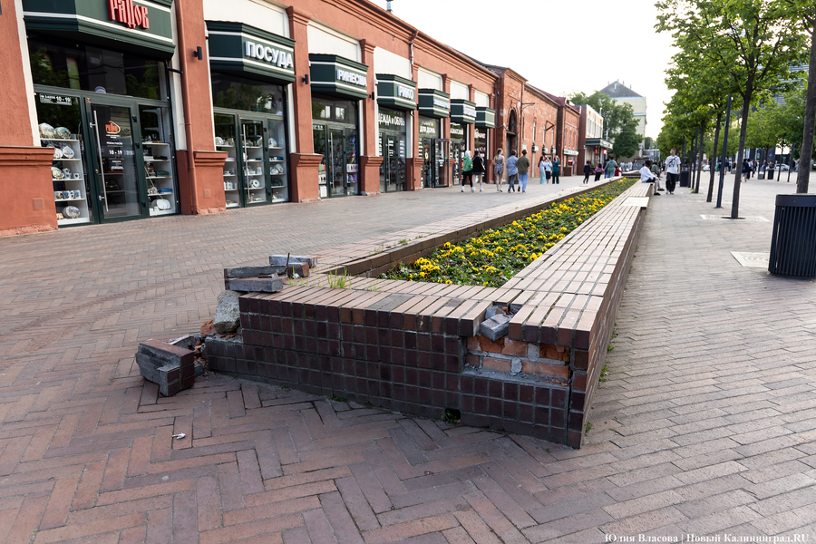 Мэрия Калининграда выделила почти четыре миллиона рублей на ремонт вазонов-лавок на Баранова (фото)