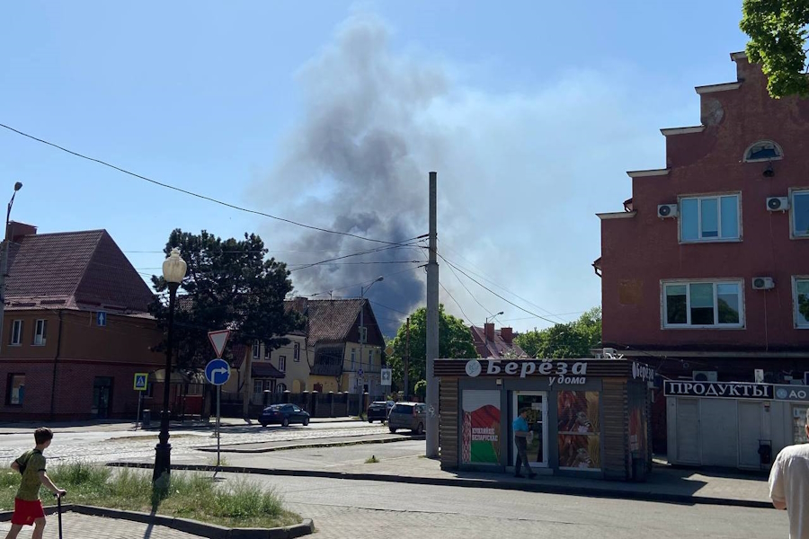 В районе проспекта Победы в Калининграде горит камышовое поле (видео)