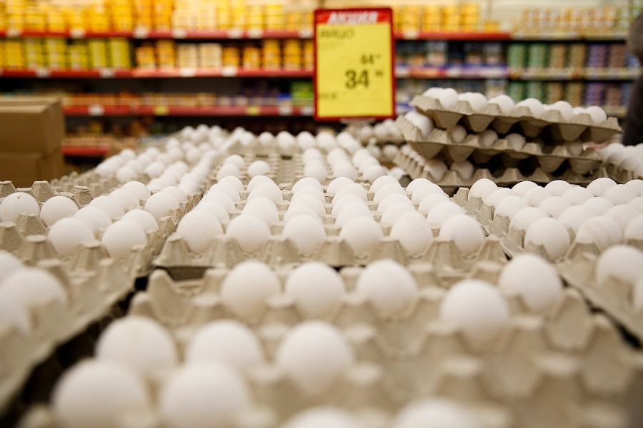 В регионе на 20% увеличилось производство яиц