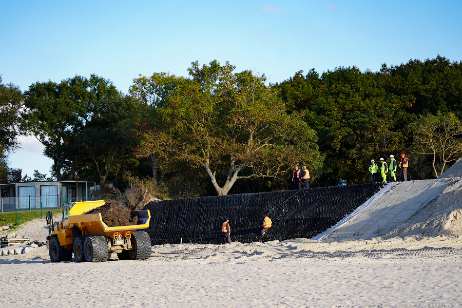 Экоактивисты обратились в прокуратуру из-за «благоустройства» дюн возле Зеленоградска