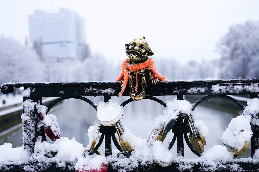 Гидрометцентр прогнозирует в Калининграде 20-градусный мороз