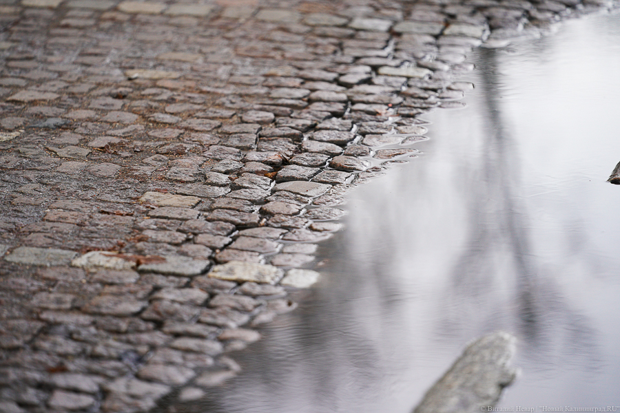 Погода в Калининградской области 13 марта