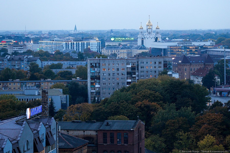 Как в Калининграде хотят согласовывать облик застройки: объясняем на котиках