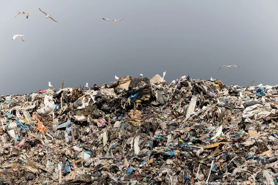 На проект рекультивации полигона в Круглово ищут подрядчика