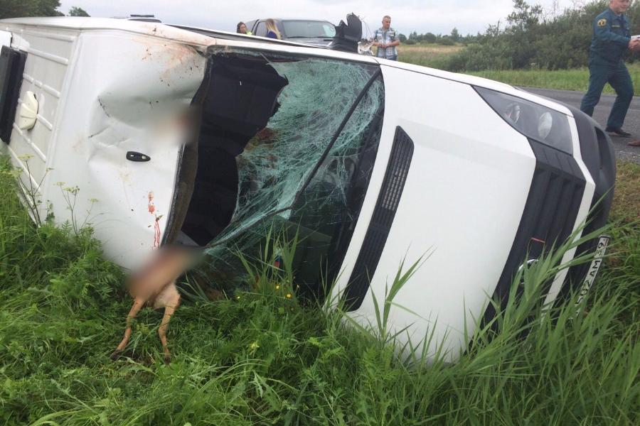 В Неманском районе микроавтобус со школьниками попал в ДТП (фото)