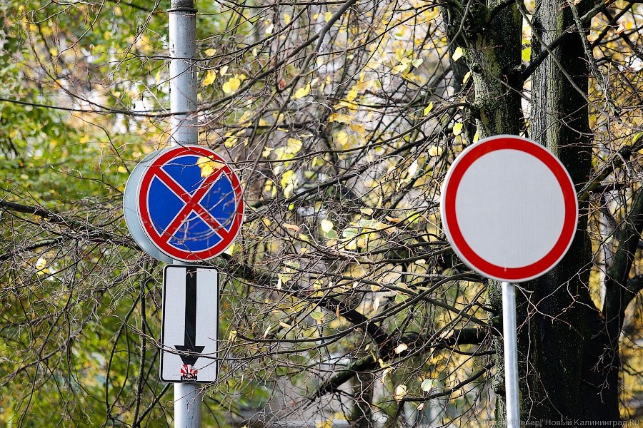 На четырех улицах Калининграда запретят остановку транспорта