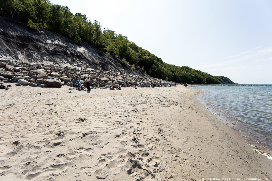 Отели, пансионат, ЖК: что хотят построить столичные компании в Отрадном