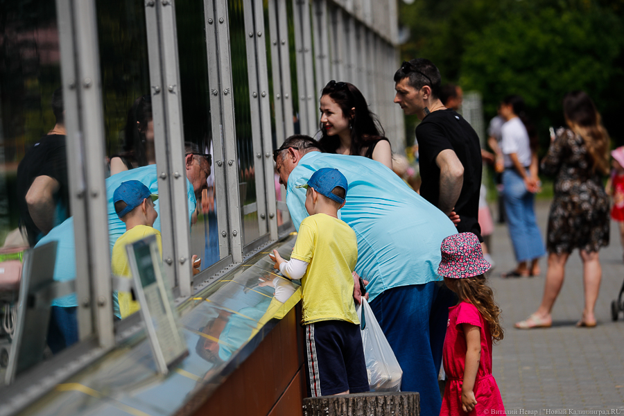 70% объектов в Калининградском зоопарке требуют реконструкции и капитального ремонта
