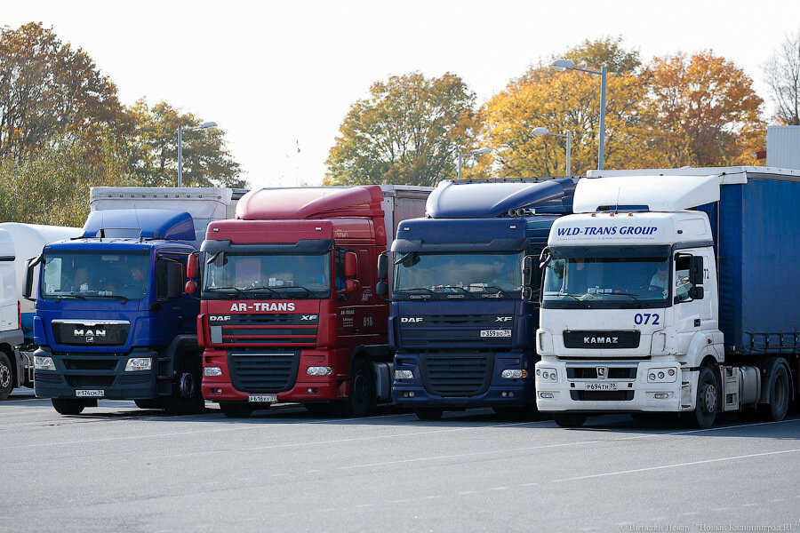 В Калининградской области на границе с Литвой вновь образовались огромные очереди из фур