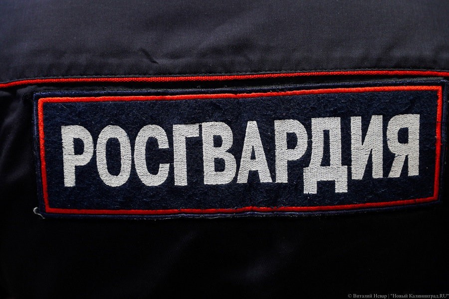Росгвардия задержала в Калининграде серийного вора из супермаркета
