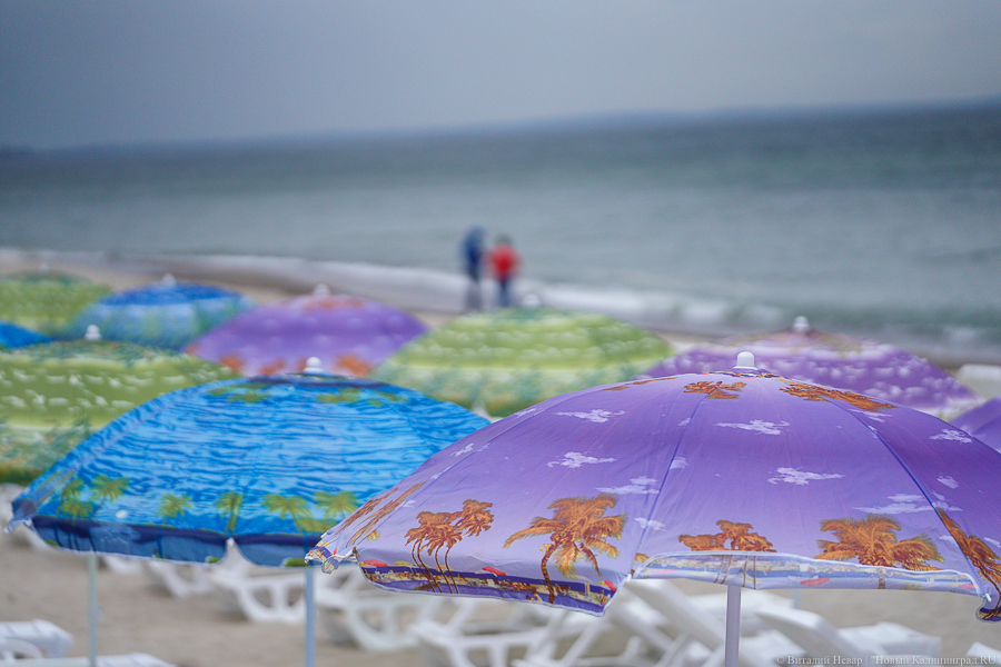 Больше всего денег на отдых детей участников СВО досталось Калининграду, Балтийску и Гусеву