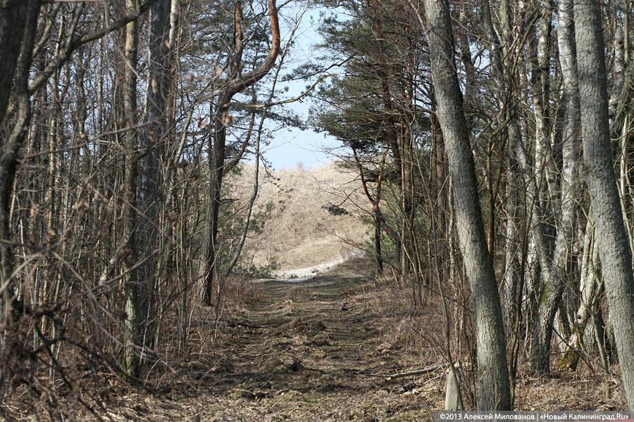 Гостиница «Куршская коса» ушла с молотка по 30 тыс рублей за «квадрат»