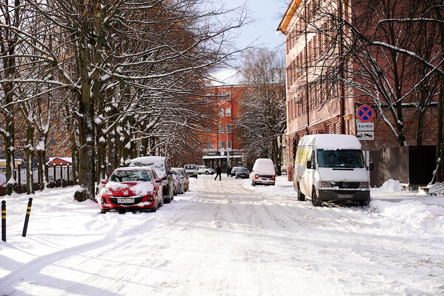 Власти планируют не поднимать зарплату дворникам, а внедрять механизированную уборку