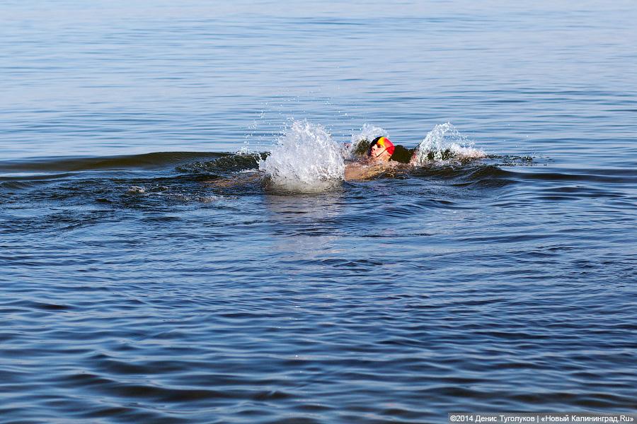 Зеленоградец поздравил женщин с 8 Марта, проплыв больше километра в ледяной воде