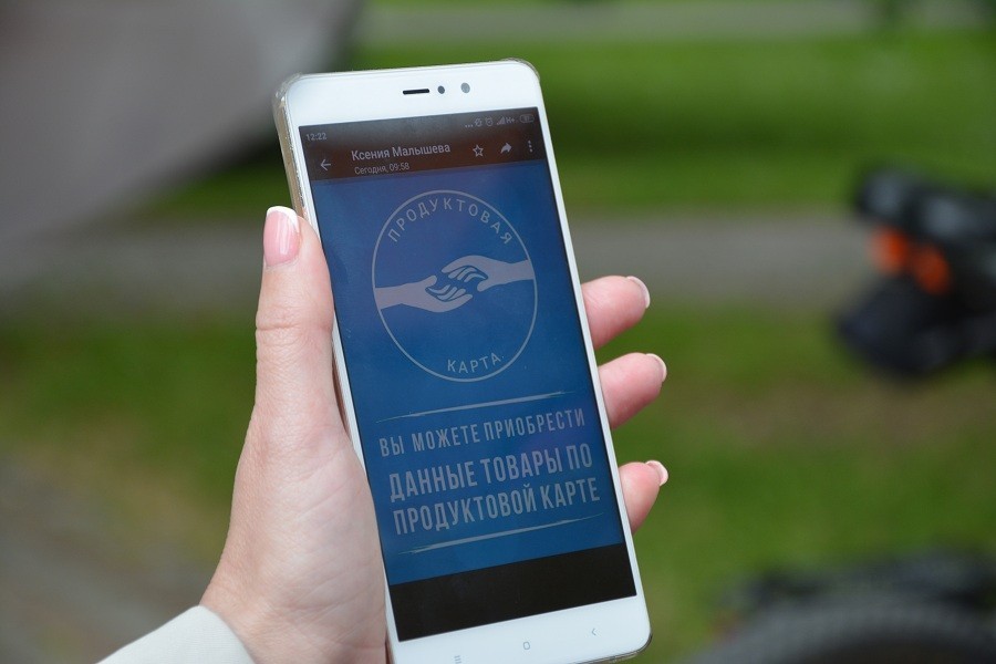 В Калининградской области вводят продуктовые карты: кто и как их может получить 