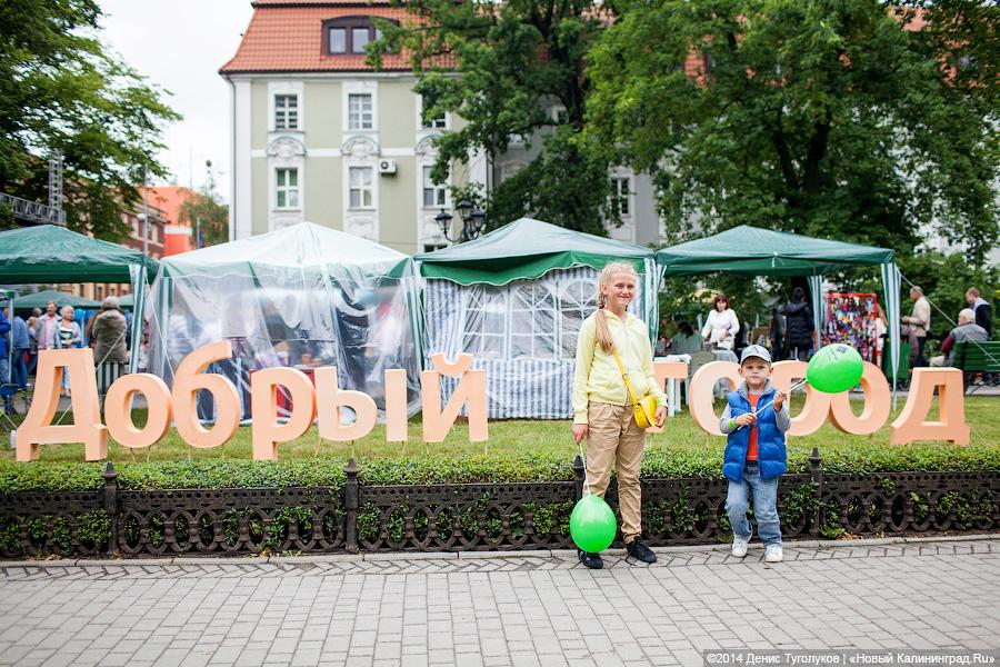 На «Fish food festival» в Зеленоградске пройдет акция «Добрый город»