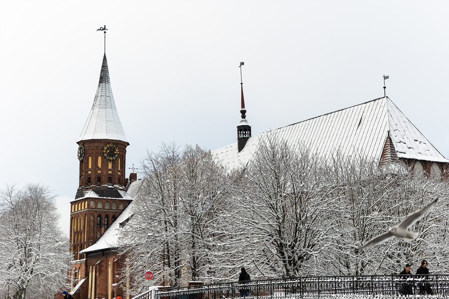 Власти назвали учреждения, участвующие в программе «Пушкинская карта» в 2025-м