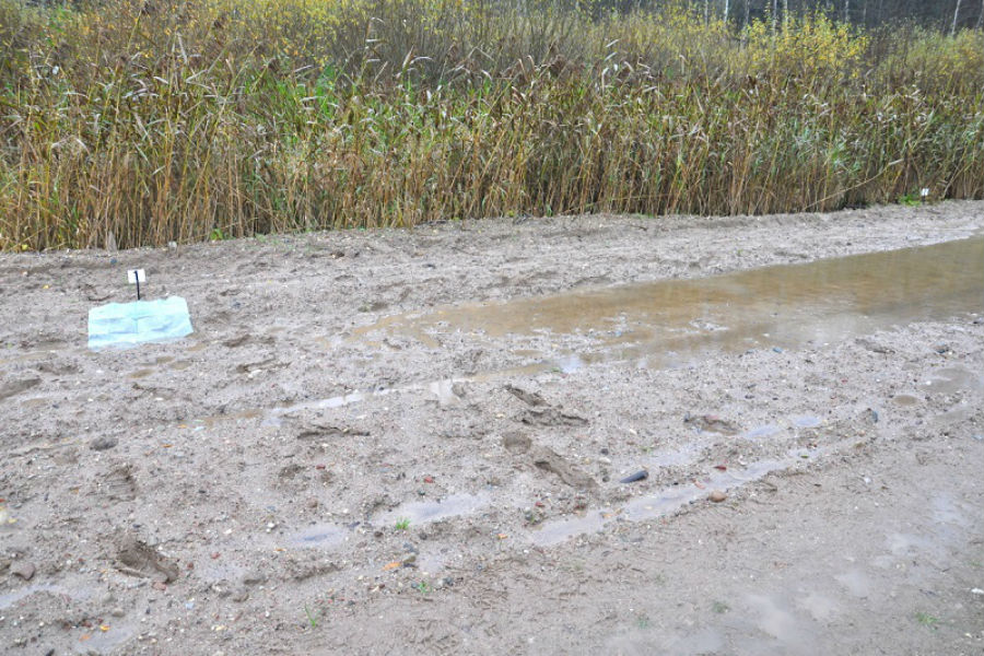 В Польше задержан гражданин ФРГ, который пытался попасть в РФ и «не знал» о границе (фото)