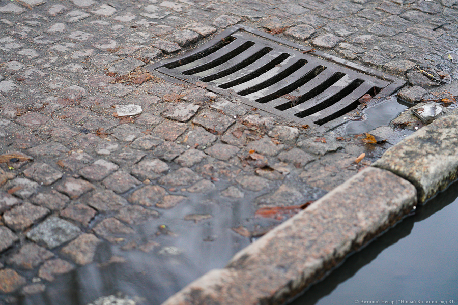 Эксперт: для властей Калининграда брусчатка — декор, а не часть исторической среды