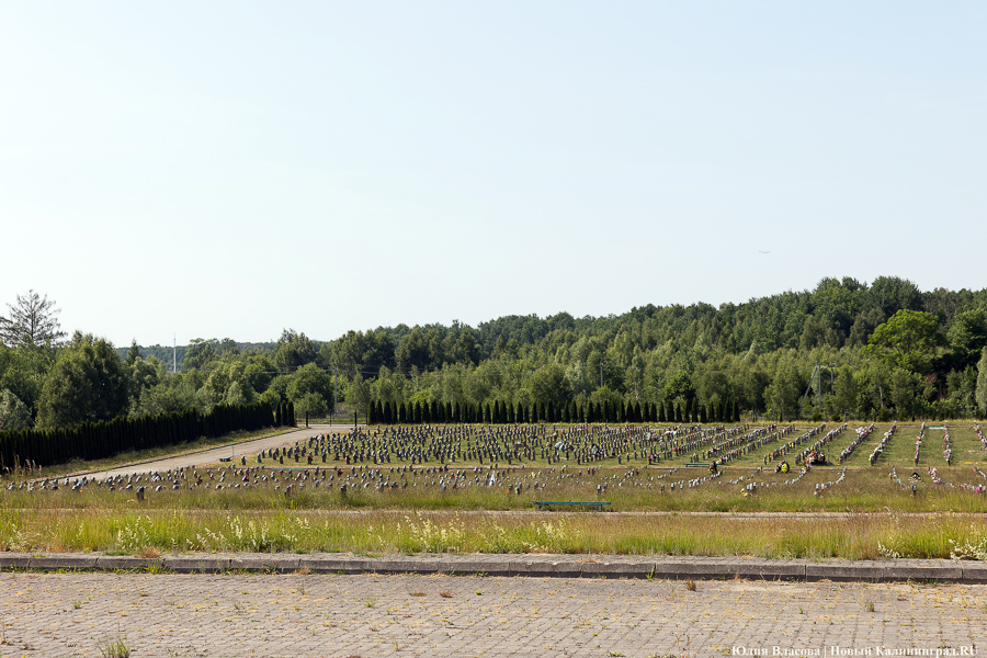 Проект городского кладбища в Медведевке собираются выполнить за 9,49 млн рублей