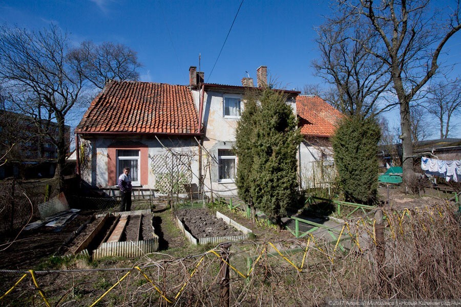 Дачников обязали отчитываться перед властями о перестройке домов