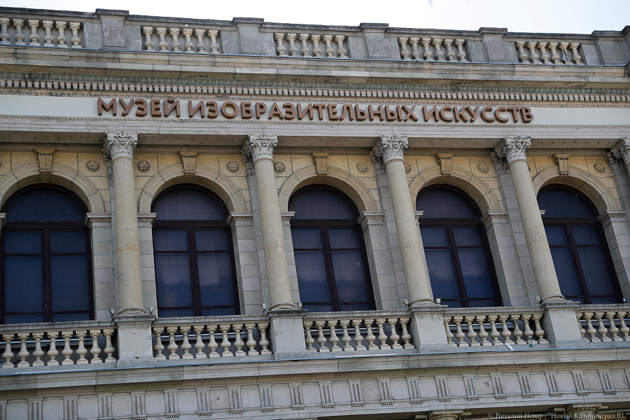 Музей изобразительных искусств хотят подсветить с острова Канта