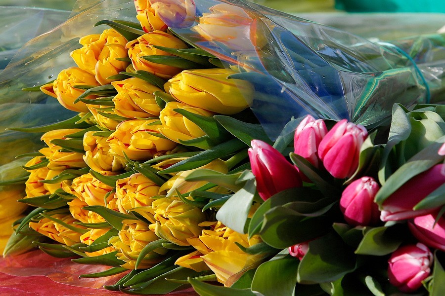 В канун 8 Марта ВЦИОМ выяснил, чего хотят женщины 