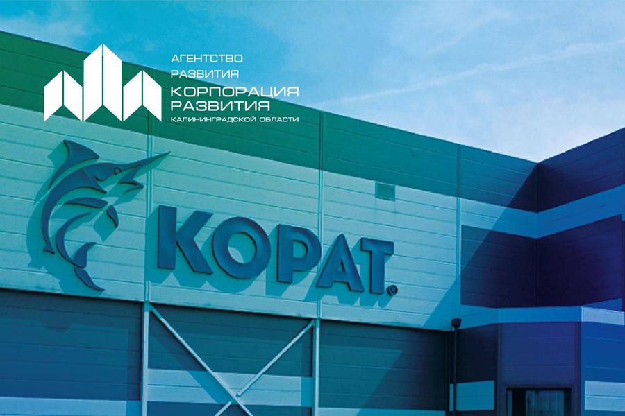 Комплекс по выпуску консервов в Пионерском выставлен на продажу за 266 млн руб.