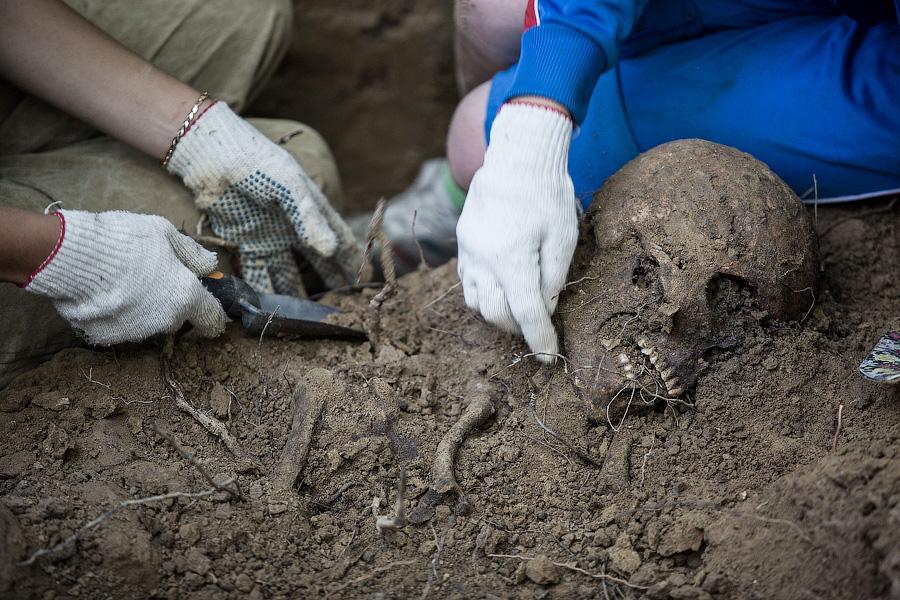 Удар по «чёрным копателям»: в Калининградской области взялись за поисковиков