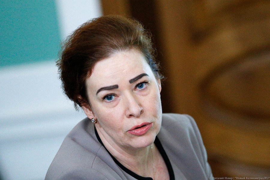 Проект строительства Северного обхода до проспекта Победы прошел экспертизу