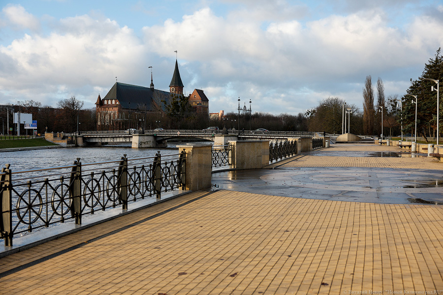 Росприродназор предостерег администрацию Калининграда от загрязнения Преголи