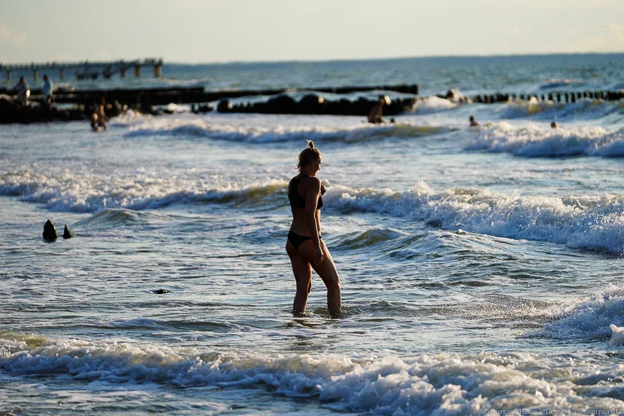 Погода в Калининграде 20 августа
