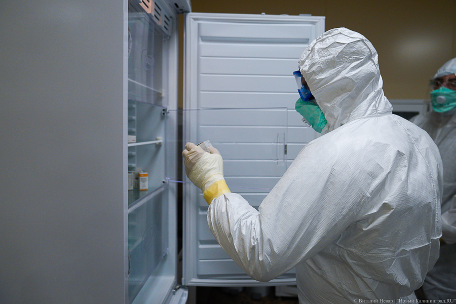 В Калининградской области зарегистрировано 210 новых случаев коронавируса