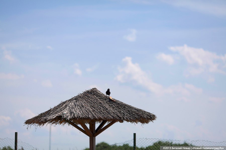 АТОР: продажи туров в Турцию упали на 20-30%