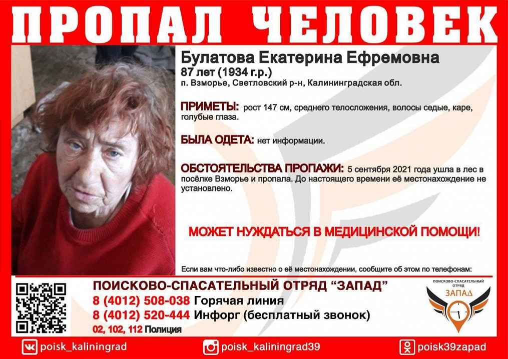 Спасатели и волонтеры вторые сутки ищут в лесу пропавшую во Взморье пенсионерку