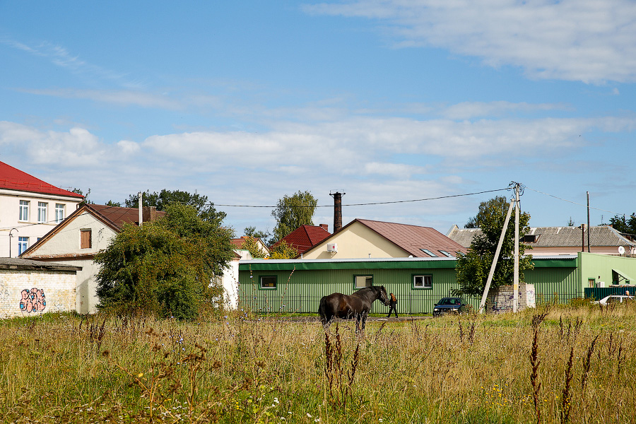 Сельскую ипотеку для приграничных территорий снизили до 0,1%