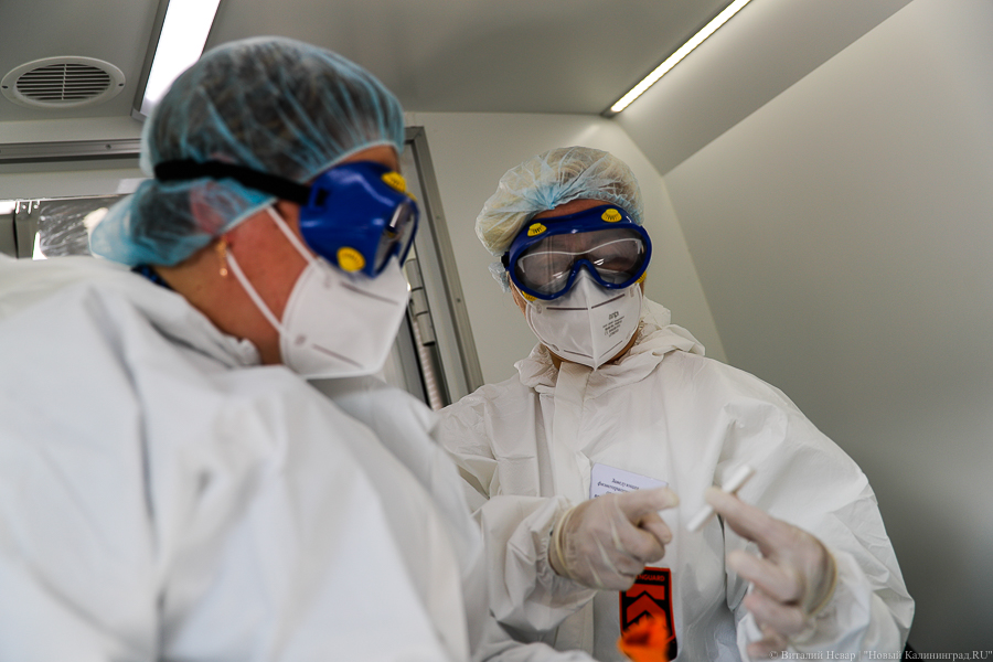 В Калининградской области выявили 79 случаев COVID-19 за сутки