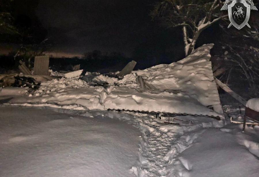 Под Нестеровом при обрушении заснеженного навеса погибла женщина (фото)
