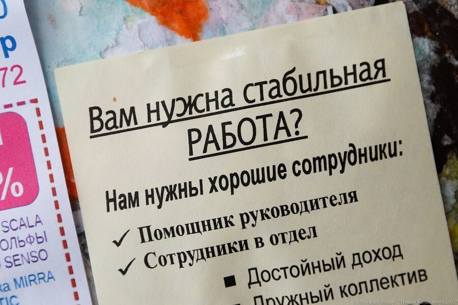Число безработных в Калининградской области приблизилось к 30 тысячам
