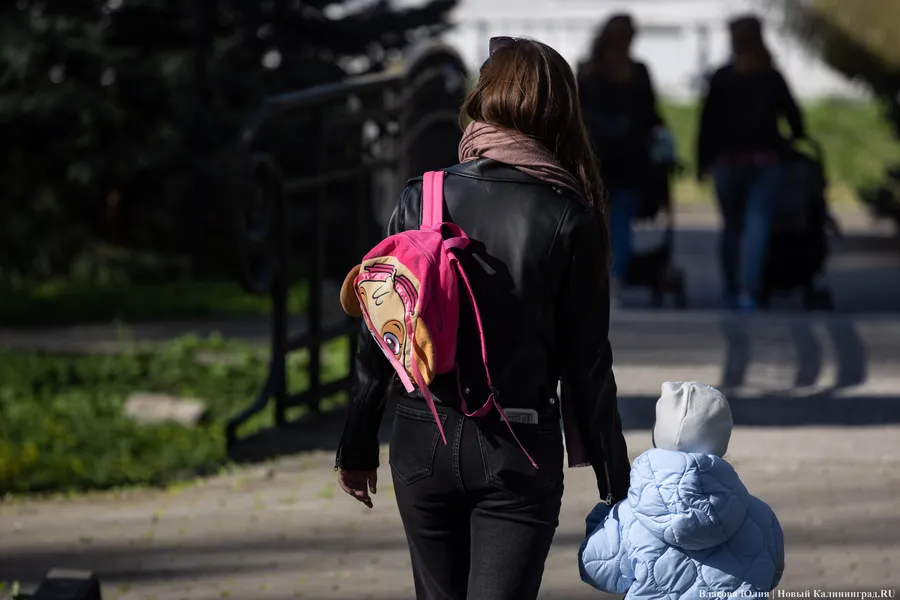 Минсоцполитики: в Калининградской области в 2025 году выросла рождаемость