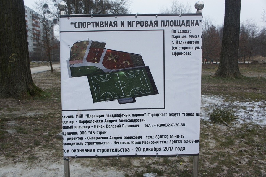 Мэрия не смогла закупить покрытие для новой спортплощадки в парке Макса Ашманна 