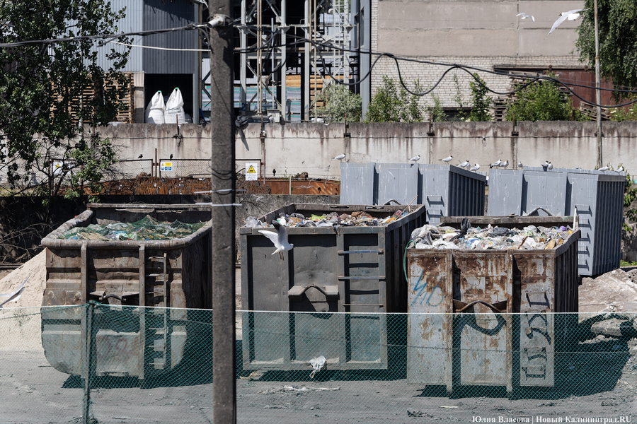 Минприроды: сортировка отходов на станциях перегрузки ТКО не допускается