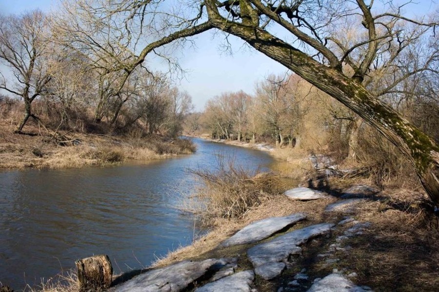 Власти Немана рассчитывают за два года очистить русло реки Инструч 