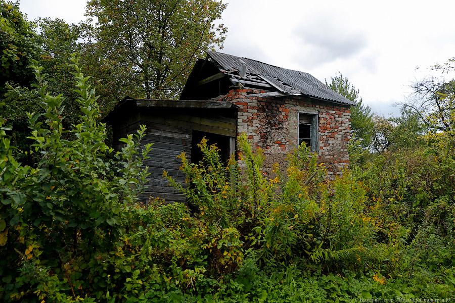 Снос без суда: как теперь будут бороться с самостроями